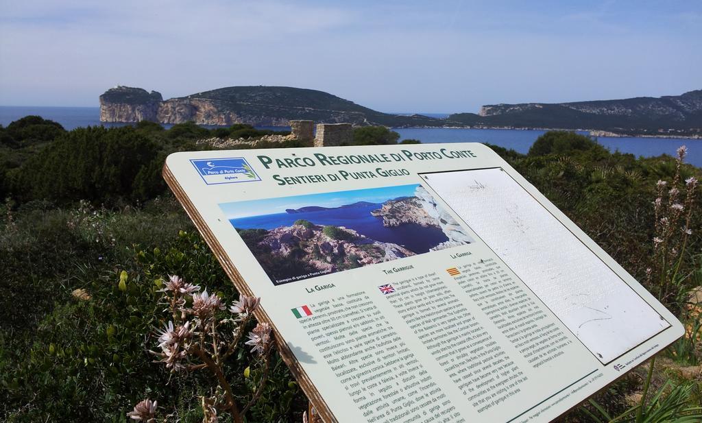 Damarilu Ξενοδοχείο Αλγκέρο Εξωτερικό φωτογραφία